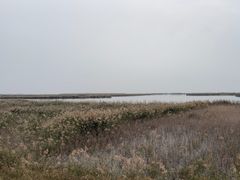 -敕勒川草原文化旅游区