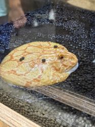 -Zoolung Zoolung动物主题公园(海信广场店)