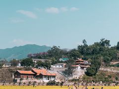 -福建土楼（华安）旅游区•大地土楼群