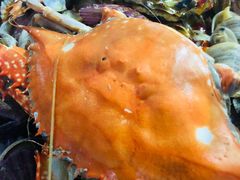 -晓伟海鲜家常菜