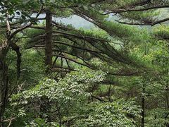 -安徽天堂寨风景区