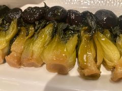 -圆苑(金茂店)
