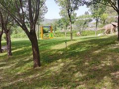 -西部长青自然儿童乐园