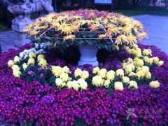 iphone_upload_pic-迎泽公园