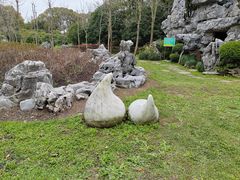 -上海鲜花港