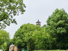-锁江楼