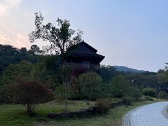 -杭州植物园