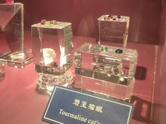 -中国地质大学逸夫博物馆
