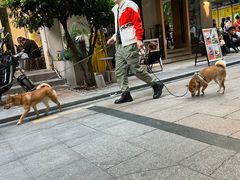 -小半有礼(天河南店)