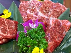 -丸藏和牛烧肉专门店(园区师惠坊店)