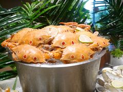 -长春高新益田福朋喜来登酒店·宜客乐标帜餐厅