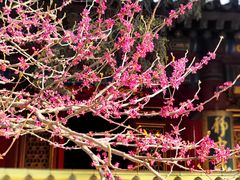 -西安市广仁寺