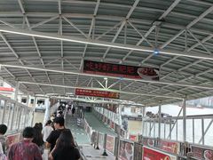 -武汉关码头(轮渡站)