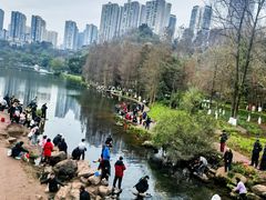 -重庆彩云湖湿地公园
