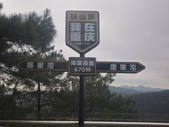 -金水泊山庄·花椒鸡(铁山坪店)