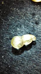 开价600元-东海水晶大集