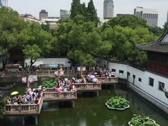 -绿波廊七号(豫园新路店)