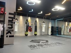 -Super Sy泰拳格斗
