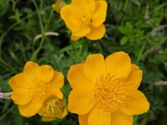 -白草畔自然风景区