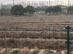 -嘉北郊野公园