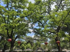 -丽泽山庄·生态怀柔菜·虹鳟鱼(红螺寺店)