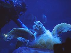 -左海海底世界