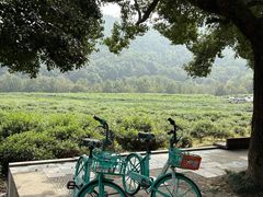 -中国茶叶博物馆(双峰馆区)