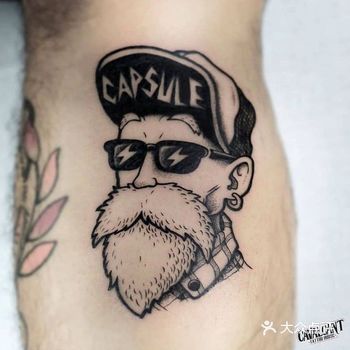 龟仙人，又称"武天老师"的武术家，自创"龟仙流"