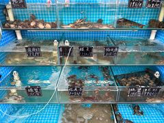 -北戴河庆山饭店·海鲜砂锅粥(北戴河黑石路店)