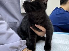 -贝康宠物医院·犬猫全科·小动物特色诊疗中心(东环路店)