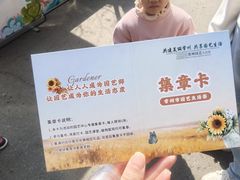 -青枫公园