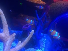 -沈阳海洋探索中心