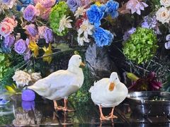 -常州海昌海洋探索馆