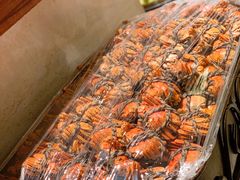 -新发展亚太JW万豪酒店·福苑咖啡厅