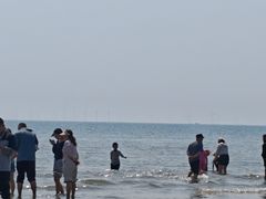 -江山半岛白浪滩景区
