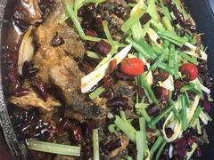 -老板恋上鱼(恒隆广场店)