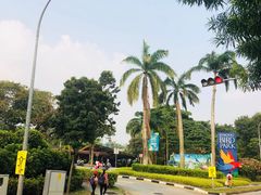 -新加坡飞禽公园