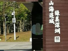 -福田红树林生态公园