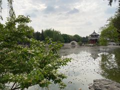 -莲池书院博物馆