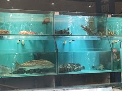 水产区-春满园·早茶·粤菜·宴会(喜宴店)