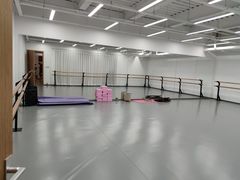 -中央芭蕾舞团·中芭艺蕾(酒仙桥明星校区)