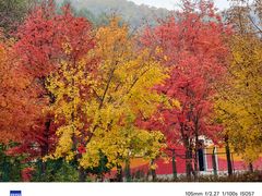 -三块石国家森林公园