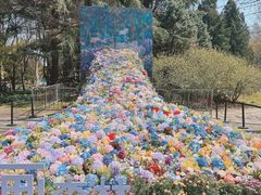 -上海共青森林公园