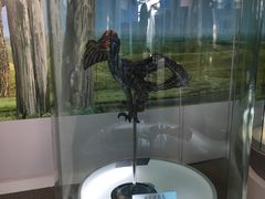 -辽宁古生物博物馆