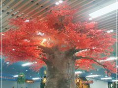 大堂-景好海鲜餐厅(大鹏必选旅游店)