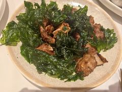 -Aqua Oasis 水天堂(石路天虹店)