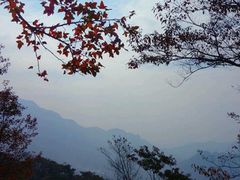 -广州市石门国家森林公园