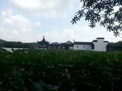 -天下玉苑