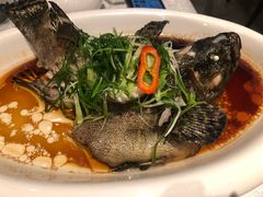 石斑鱼-观澜湖酒店·邀月庭中餐厅