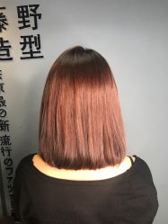 -藤野造型